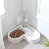 Double Pet Bowl Set for Cats & Small Dogs