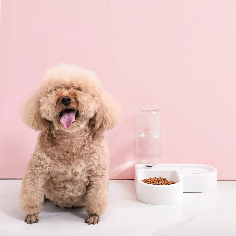 Double Pet Bowl Set for Cats & Small Dogs